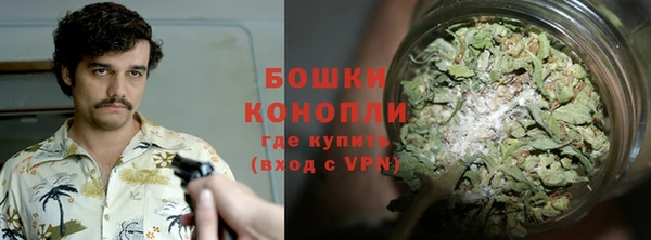 дурь Дмитриев