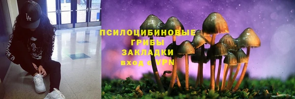 амф Дмитровск