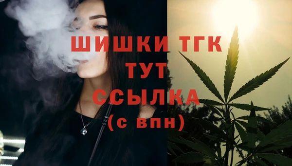 дурь Дмитриев