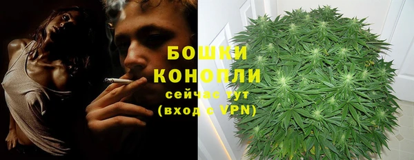 не бодяженный Дмитров