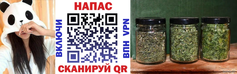 Шишки марихуана планчик Псков